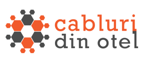 logo Cabluri otel